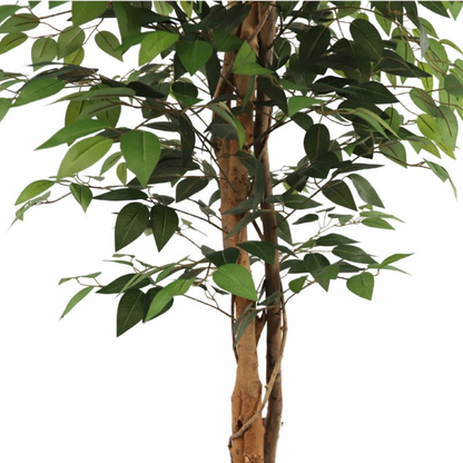 Műfa fikusz - 160 cm